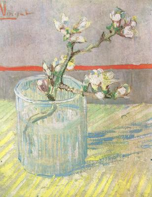 Vincent Van Gogh Blossoming Almond Branch in a Glass (nn04) oil painting picture